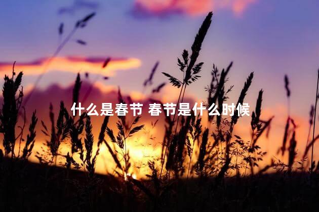 什么是春节 春节是什么时候